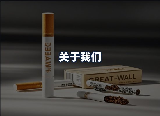 关于我们